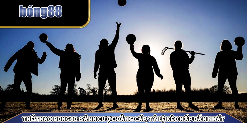 Sảnh thể thao đẳng cấp, tỷ lệ kèo hấp dẫn