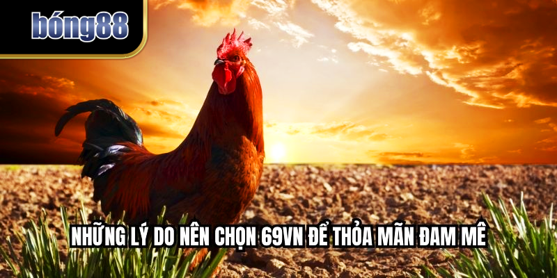 Những lý do nên chọn BONG88 để thỏa mãn đam mê