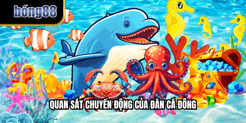Quan sát chuyển động của đàn cá đông